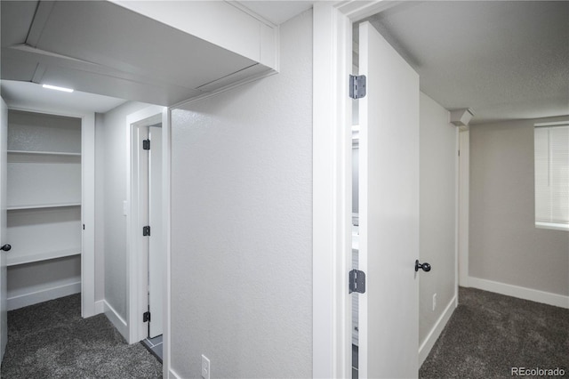 3690 Leyden St, Denver, CO 80207 - photo 25