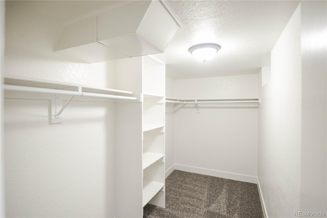 3690 Leyden St, Denver, CO 80207 - photo 28