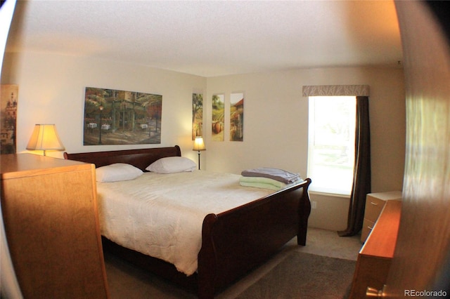 bedroom featuring carpet flooring