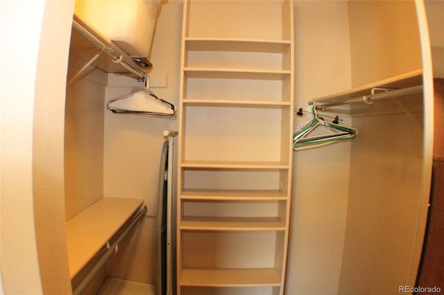 view of walk in closet