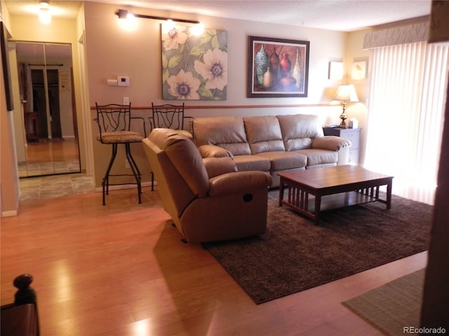 living room with wood-type flooring