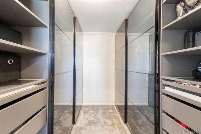 walk in closet with light carpet