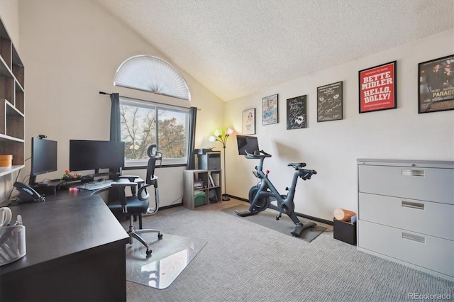 carpeted office with vaulted ceiling and a textured ceiling