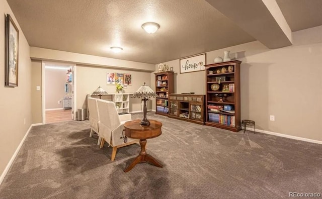 6765 Windbrook Ct, Colorado Springs, CO 80927 - sitting room featuring carpet and a textured ceiling
