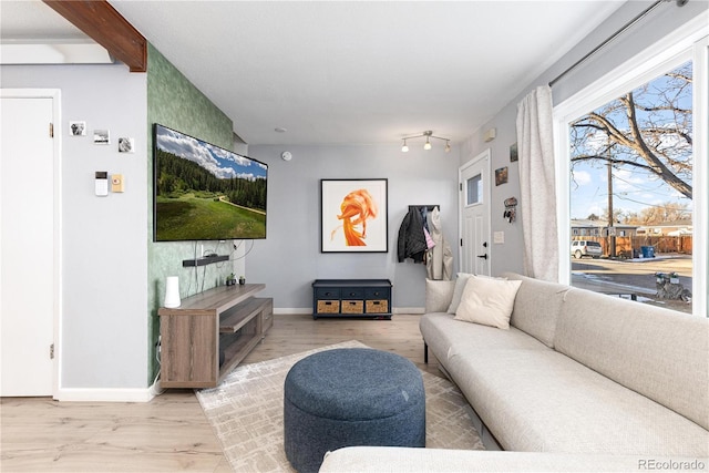 living room featuring light hardwood / wood-style floors