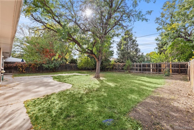 view of yard with a patio area