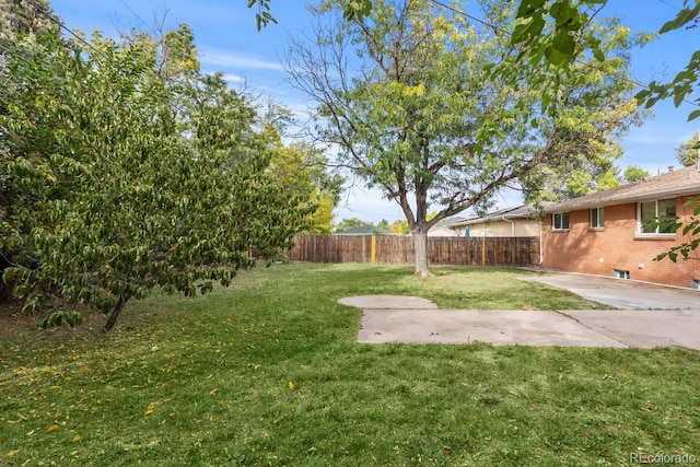 view of yard with a patio