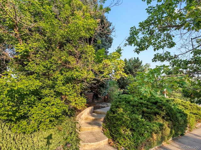 600 York St, Denver, CO 80206 - photo 4
