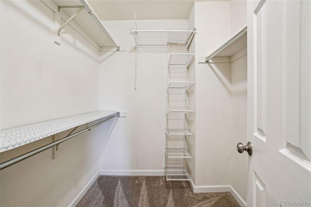 1310 S Monaco Pkwy Unit G, Denver, CO 80224 - photo 17
