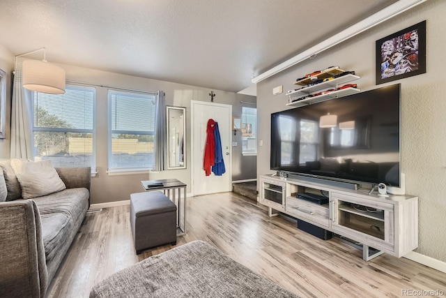 living room with hardwood / wood-style flooring