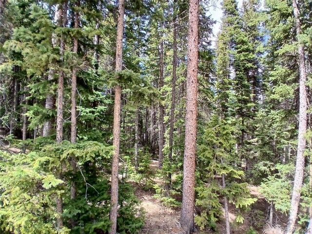 21221 Colorado 103, Idaho Springs, CO 80452 - photo 17