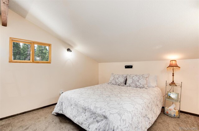 21221 Colorado 103, Idaho Springs, CO 80452 - photo 12