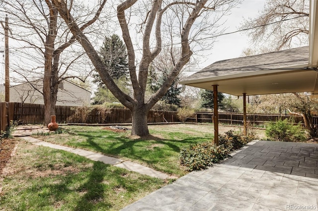 view of yard with a fenced backyard and a patio area