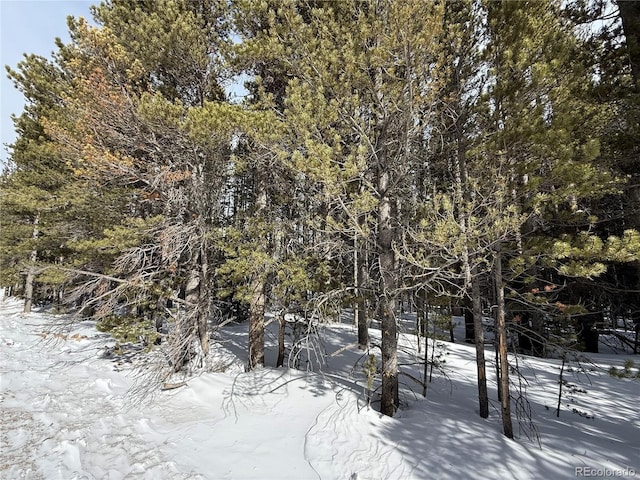 LOT105 Deer Rd, Idaho Springs CO, 80452 land for sale