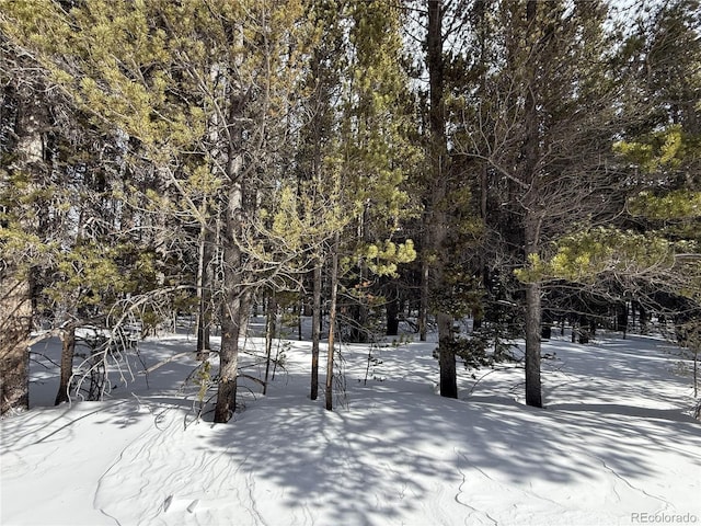 Listing photo 2 for LOT105 Deer Rd, Idaho Springs CO 80452