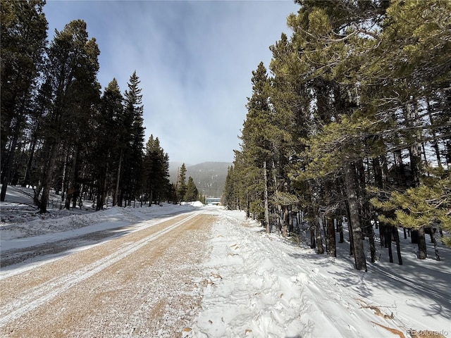 Listing photo 3 for LOT105 Deer Rd, Idaho Springs CO 80452