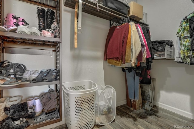 walk in closet with wood-type flooring