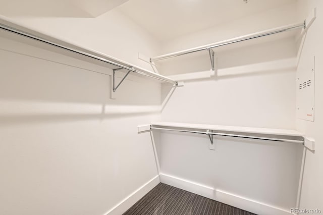 2837 Vallejo St Unit 102, Denver, CO 80211 - spacious closet with dark carpet