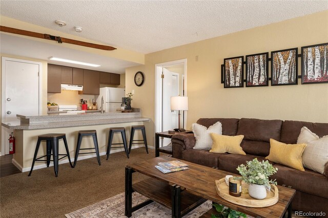 247 Lake Dr Unit 3103, Granby, CO 80446 - living area featuring dark colored carpet and a textured ceiling