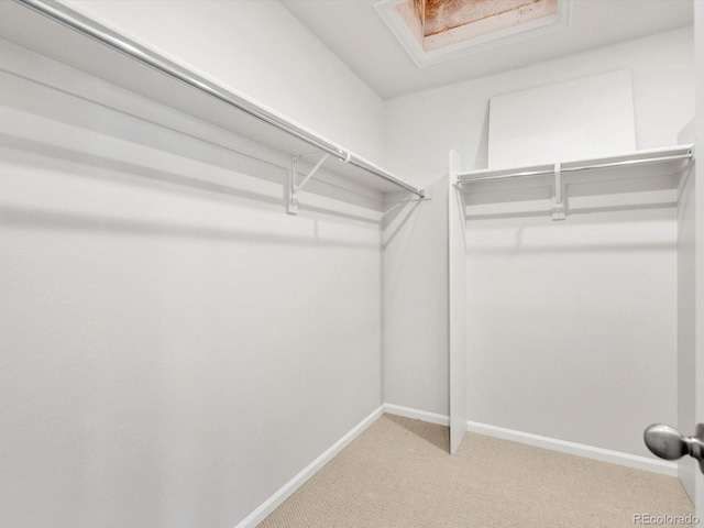 spacious closet featuring light carpet