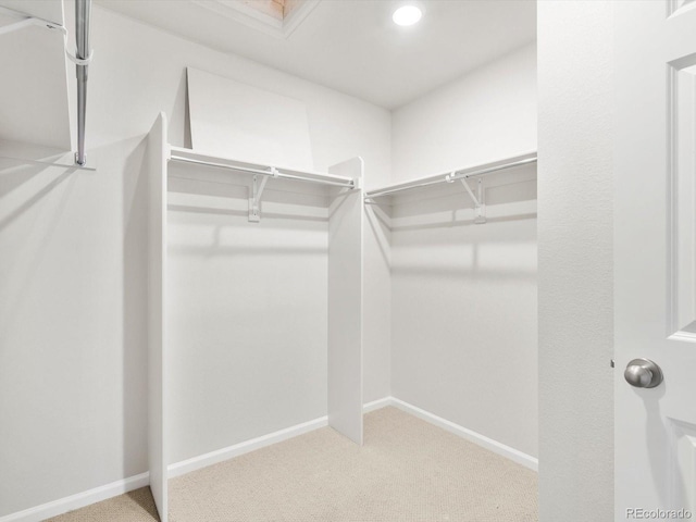 walk in closet with carpet flooring