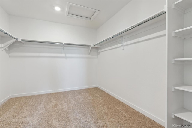 4730 Hatcher Dr, Brighton, CO 80601 - photo 19