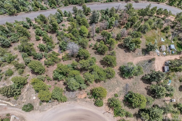 13062 Lori Dr, Conifer, CO 80433