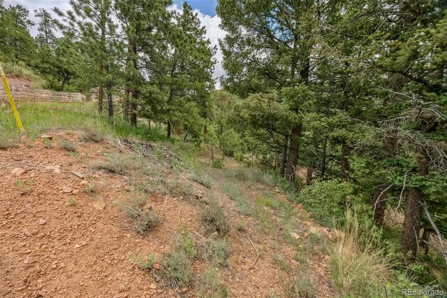 13062 Lori Dr, Conifer, CO 80433