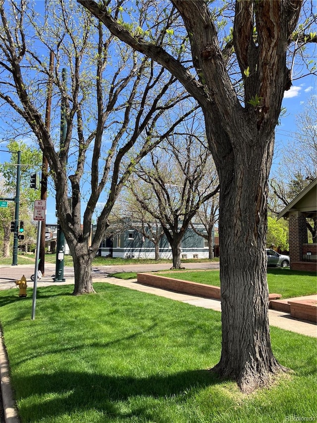 surrounding community featuring a lawn