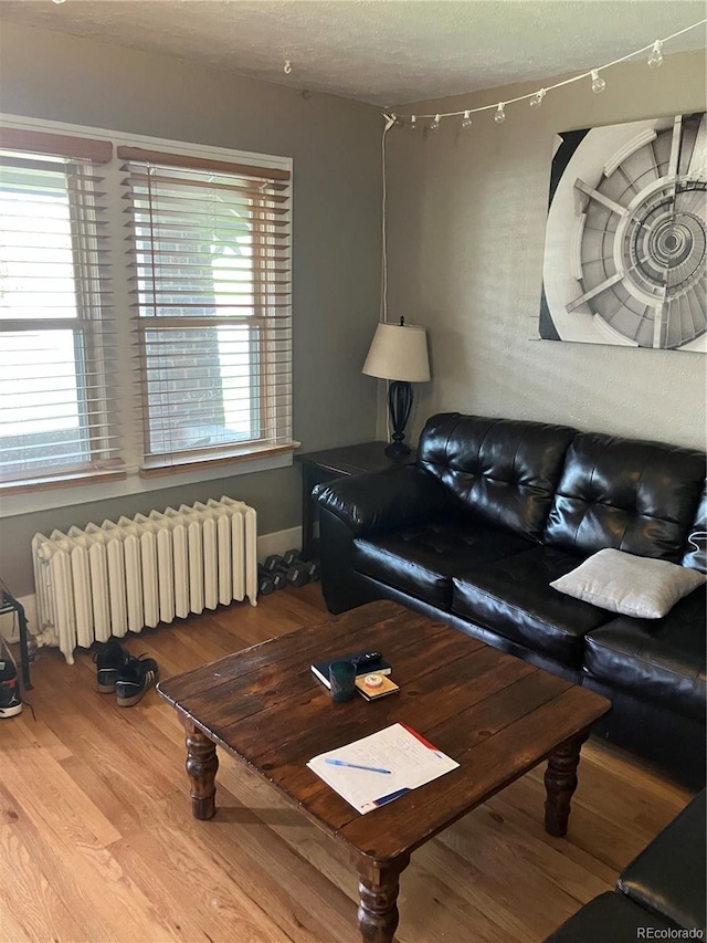 living room with hardwood / wood-style flooring, plenty of natural light, and radiator