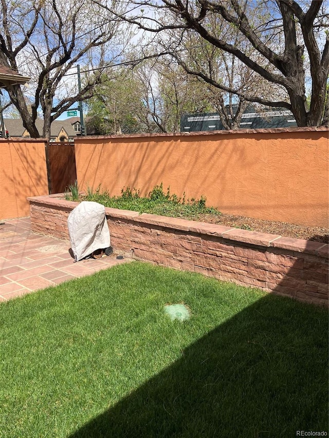 view of yard featuring a patio