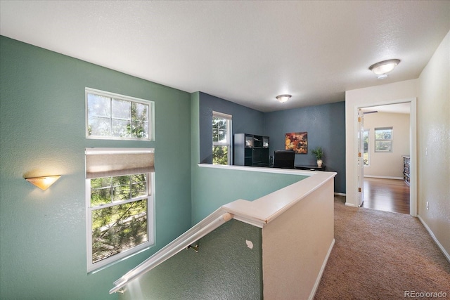 658 S Norfolk Way, Aurora, CO 80017 - photo 13