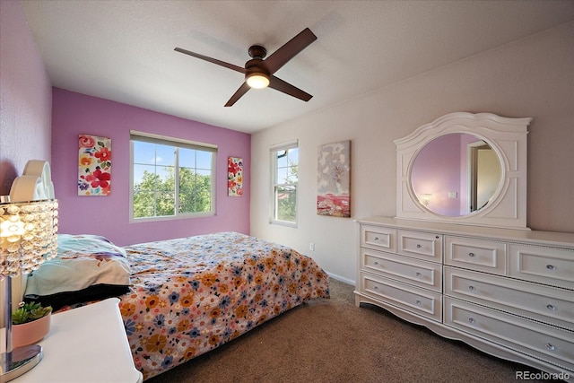 658 S Norfolk Way, Aurora, CO 80017 - photo 21