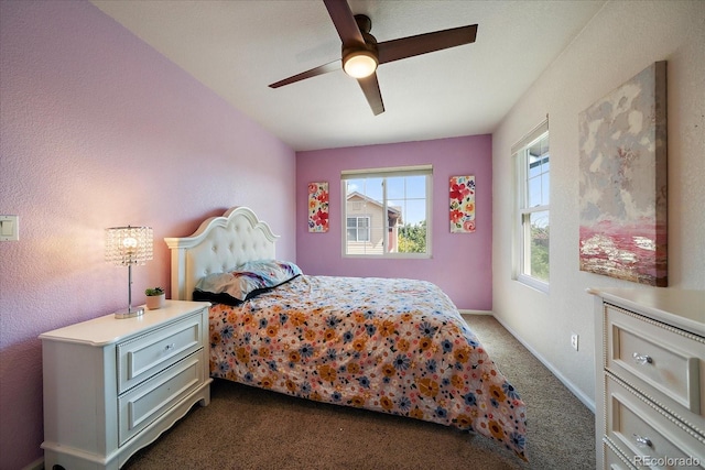 658 S Norfolk Way, Aurora, CO 80017 - photo 22