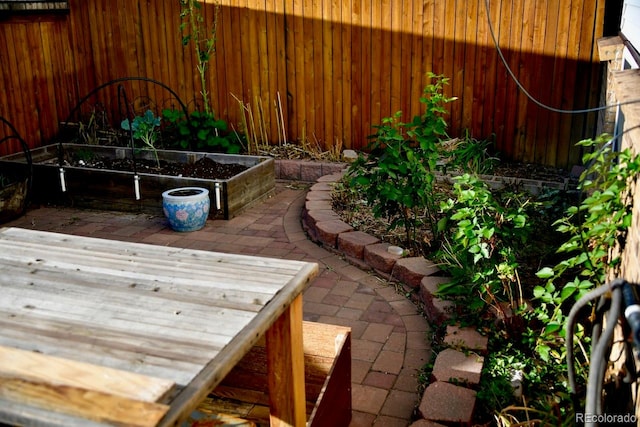 view of yard with a patio