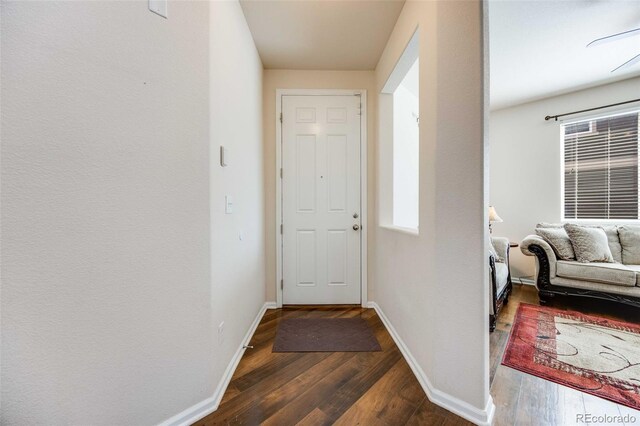 7514 Blue Water Dr, Castle Rock, CO 80108 - photo 5