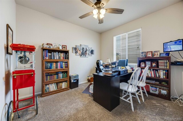 7514 Blue Water Dr, Castle Rock, CO 80108 - photo 8