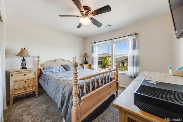 7514 Blue Water Dr, Castle Rock, CO 80108 - photo 28