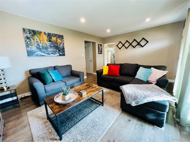 living room with wood-type flooring