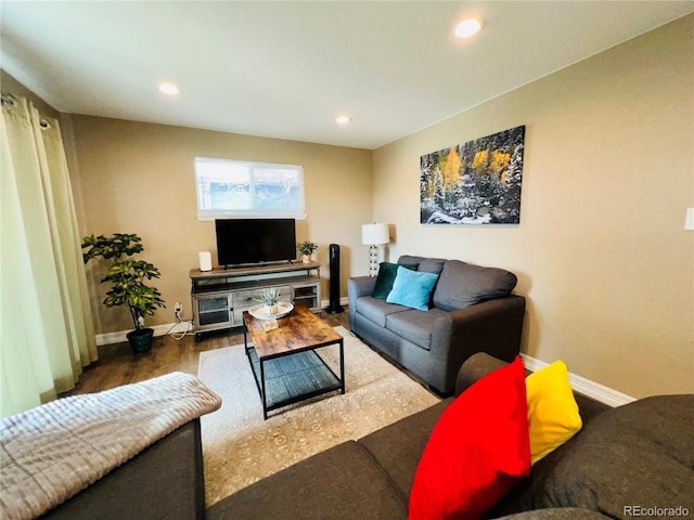 living room with hardwood / wood-style flooring