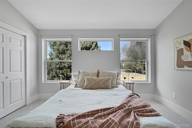 bedroom with a closet, light carpet, and multiple windows