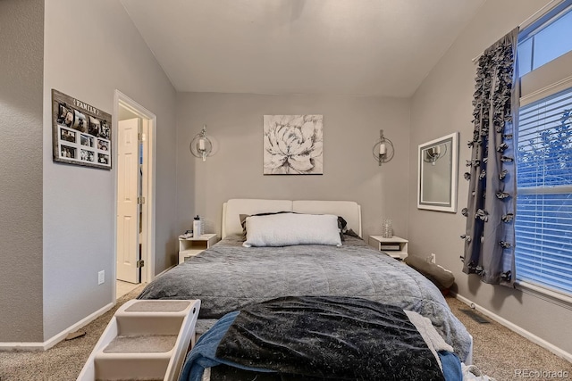 bedroom with carpet floors