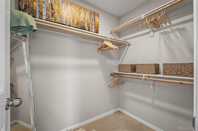 9389 Mayflower Gulch Way, Colorado Springs, CO 80927 - spacious closet featuring carpet floors