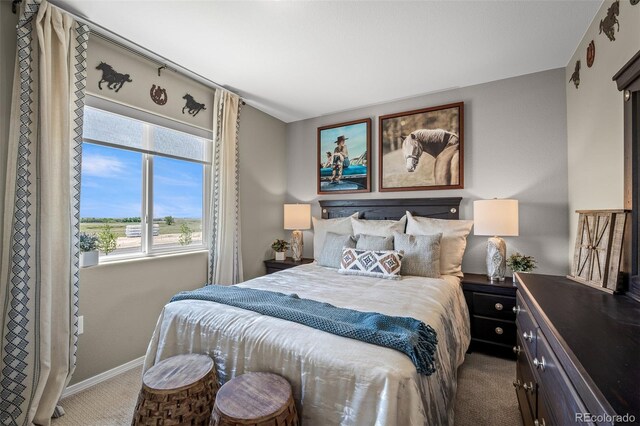9389 Mayflower Gulch Way, Colorado Springs, CO 80927 - bedroom featuring carpet floors and baseboards