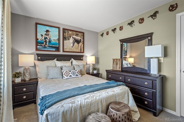 9389 Mayflower Gulch Way, Colorado Springs, CO 80927 - carpeted bedroom featuring baseboards
