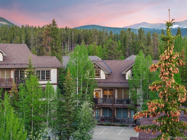 33 Broken Lance Dr Unit 207S, Breckenridge, CO 80424 - view of mountain backdrop featuring a forest