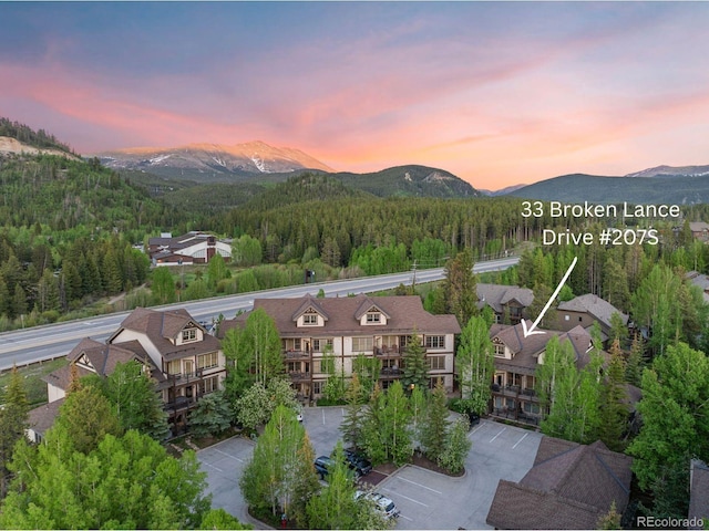 33 Broken Lance Dr Unit 207S, Breckenridge, CO 80424 - view of mountain background featuring a forest