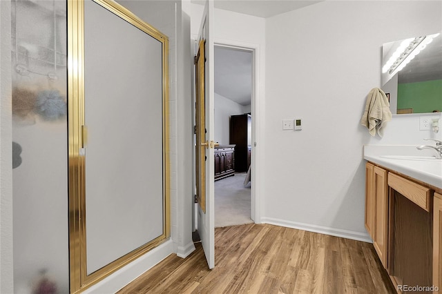 4251 S Blackhawk Cir Unit 3E, Aurora, CO 80014 - bathroom with wood finished floors, vanity, and a shower stall