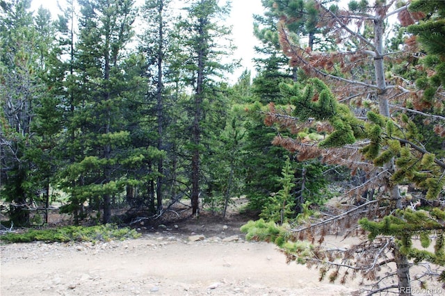 GROUP2-1 Lamertine Rd, Idaho Springs, CO 80452