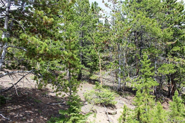 GROUP2-1 Lamertine Rd, Idaho Springs, CO 80452